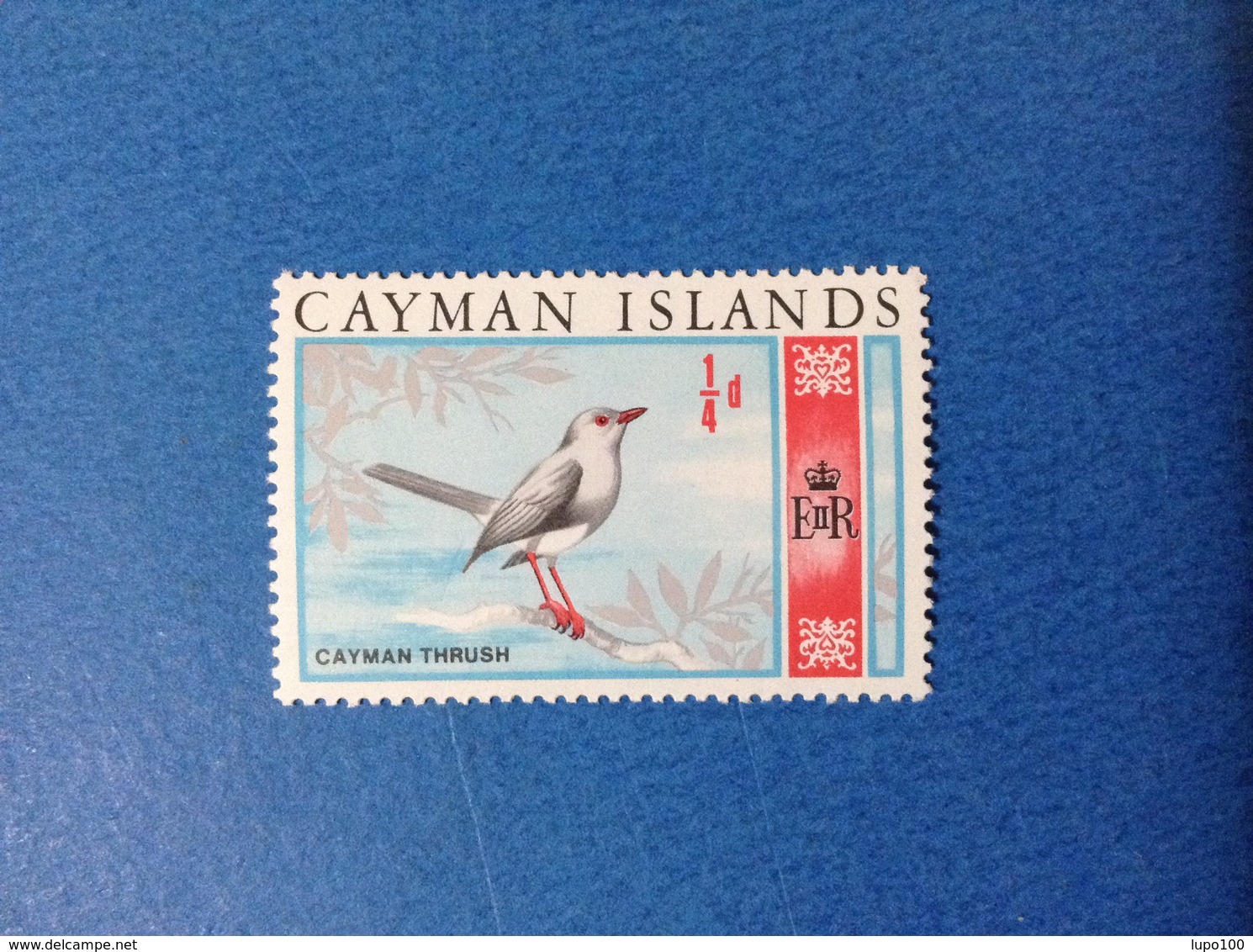 1969 CAYMAN ISLANDS 1/4 D FAUNA UCCELLI THRUSH FRANCOBOLLO NUOVO STAMP NEW MNH** - Cayman (Isole)