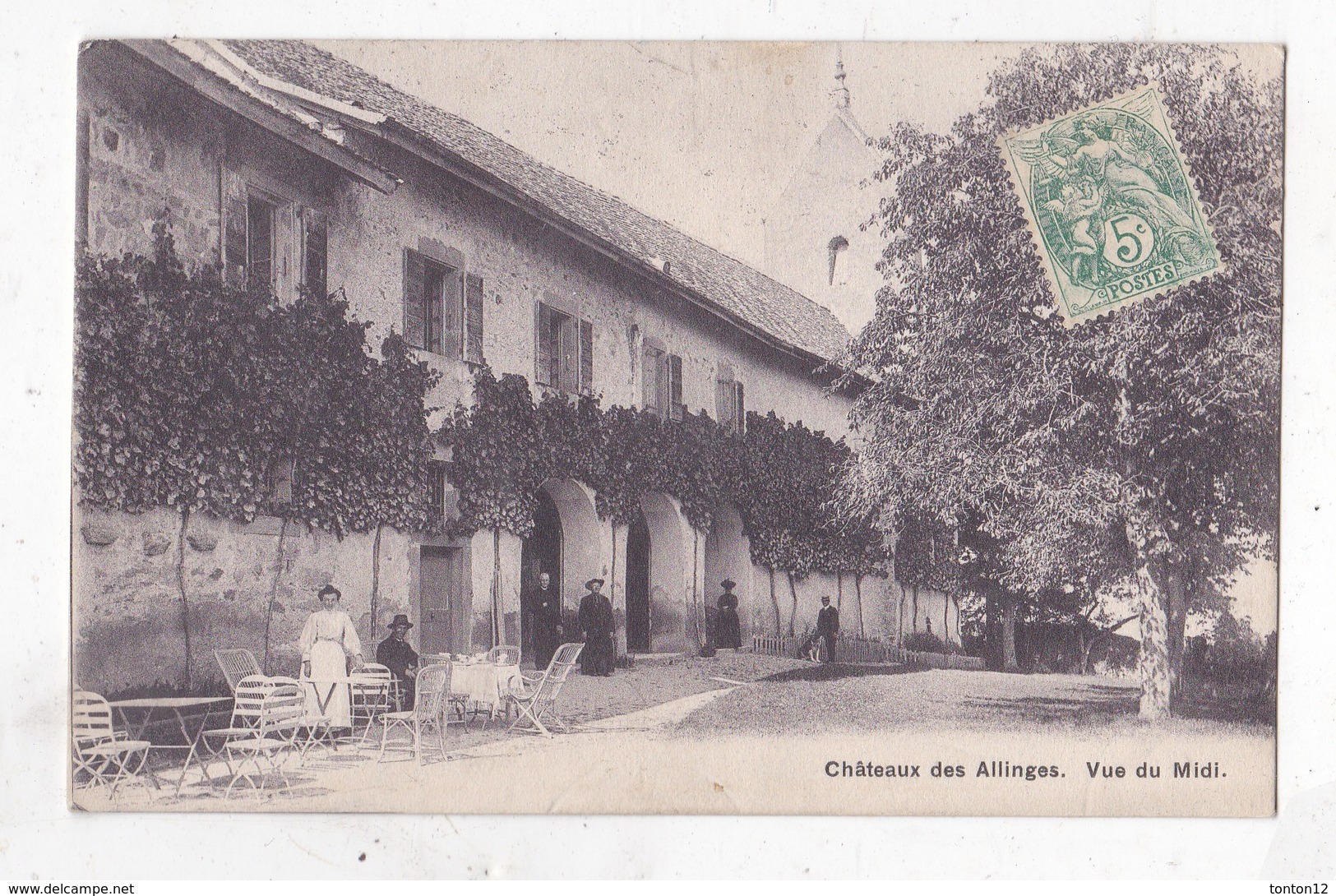 Carte Postale Chateau Des Allinges  Vue Du Midi - Castelli