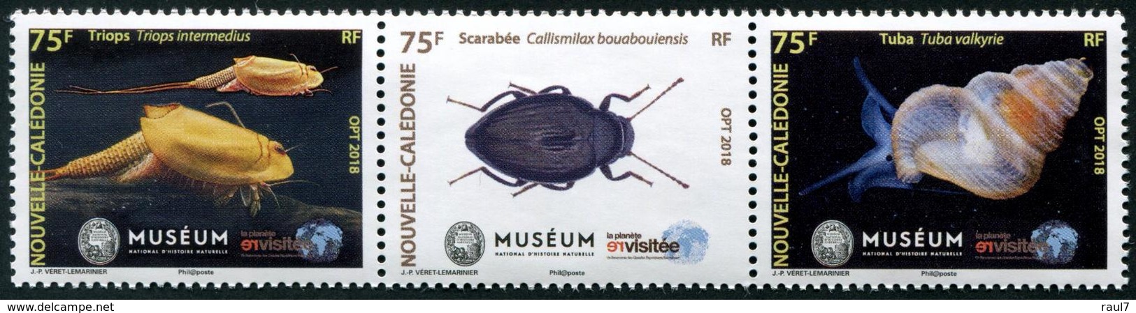 Nouvelle-Calédonie 2018 - Musée Histoire Naturelle, Insectes  - 3 Val Neufs // Mnh - Neufs