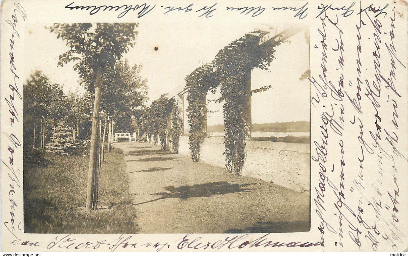 MAGDEBURG - Jardins Au Bord De L'Elbe, Carte Photo En 1918. - Maagdenburg