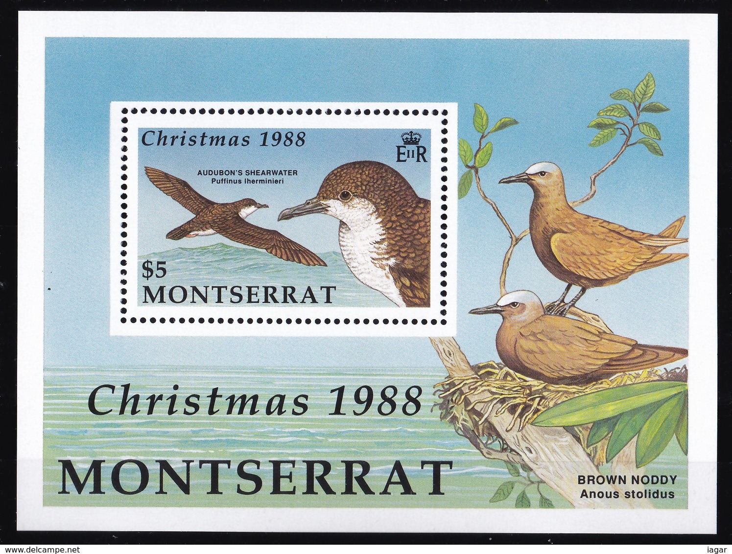 THEMATIC BIRDS, LOCAL BIRDS/CHRISTMAS - MONTSERRAT - Albatro & Uccelli Marini