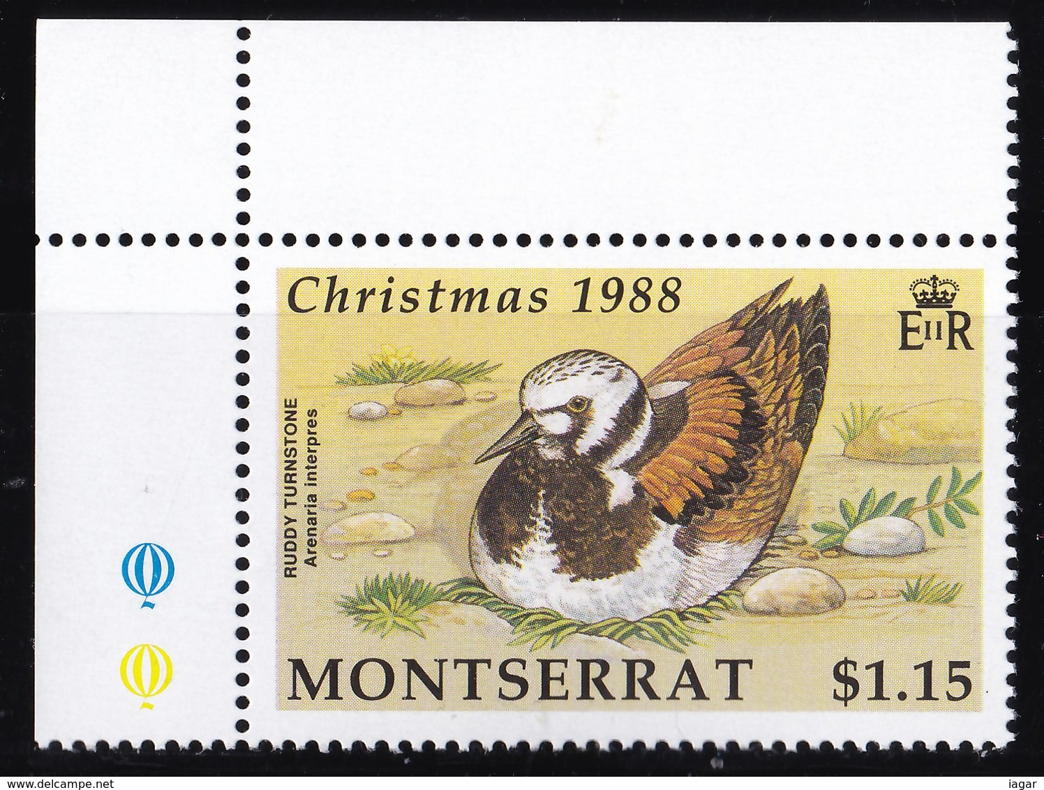 THEMATIC BIRDS, LOCAL BIRDS/CHRISTMAS - MONTSERRAT - Albatro & Uccelli Marini