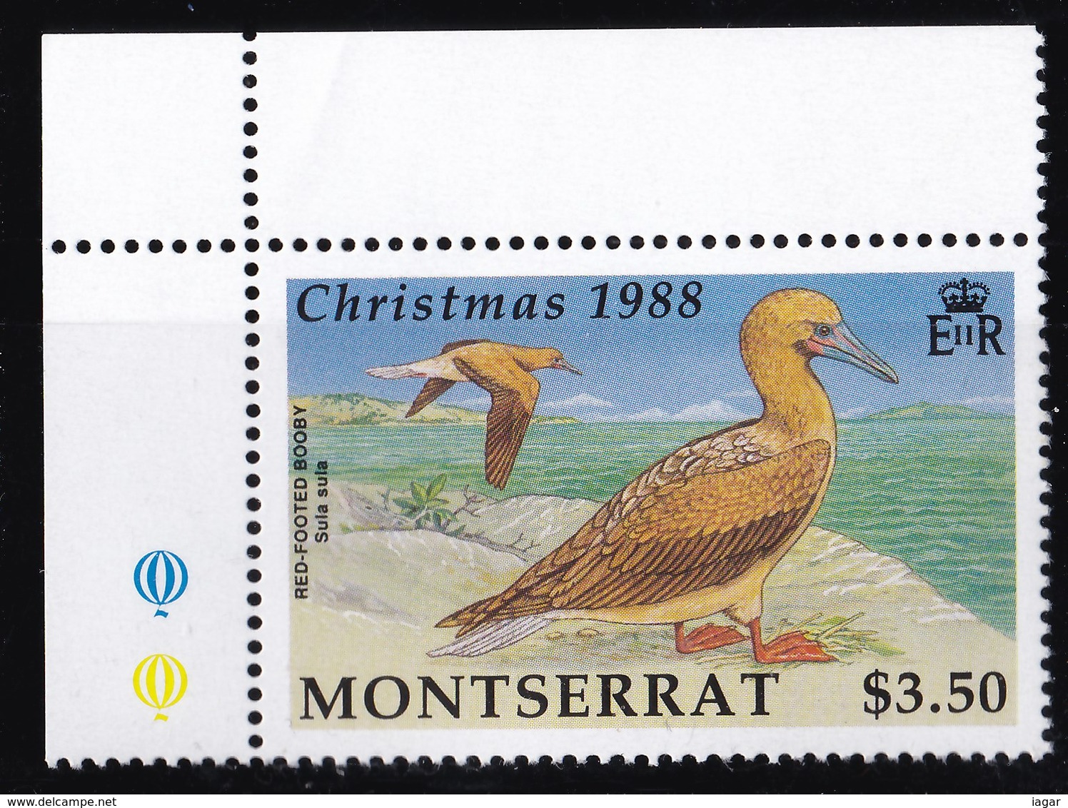 THEMATIC BIRDS, LOCAL BIRDS/CHRISTMAS - MONTSERRAT - Albatro & Uccelli Marini