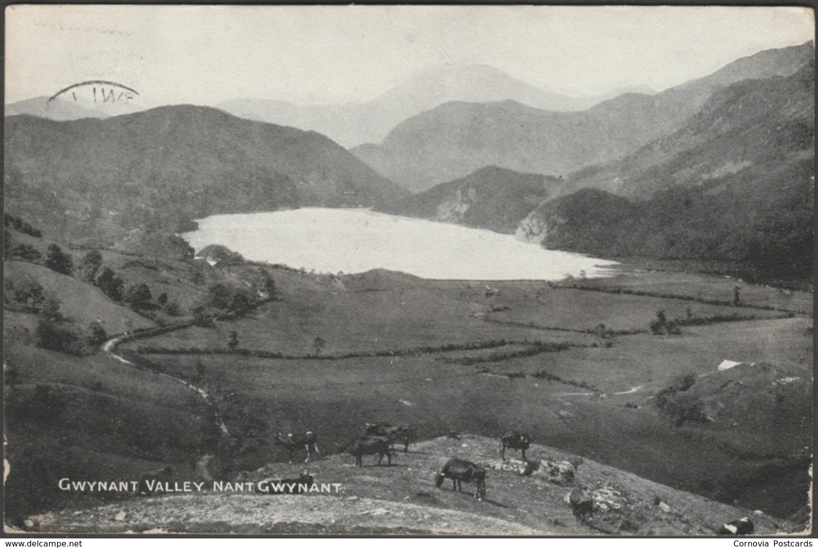 Nant Gwynant, Gwynant Valley, Caernarvonshire, 1907 - Photochrom Postcard - Caernarvonshire