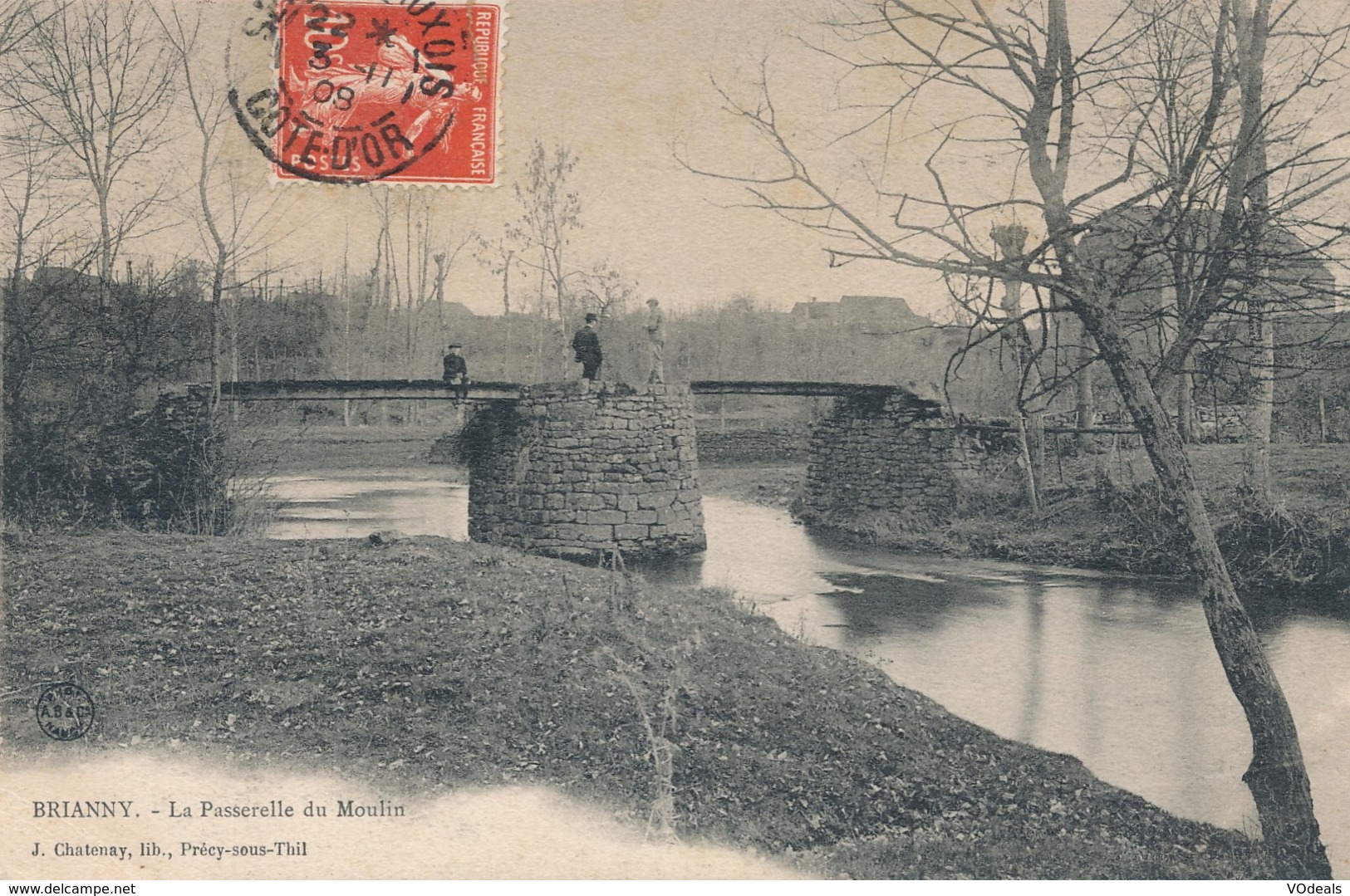 CPA - France - (21) Côte D'Or - Brianny - La Passerelle Du Moulin - Autres & Non Classés