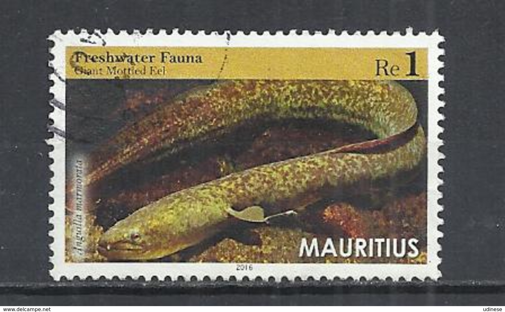 MAURITIUS 2016 -  GIANT MOTTLED EEL (ANGUILLA MARMORATA) - POSTALLY USED OBLITEE GESTEMPELT USADO - Maurice (1968-...)