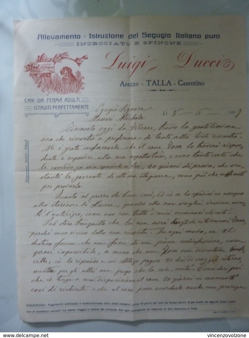 Lettera Manoscritta "LUIGI DUCCI  Allevamento - Istruzione Del Segugio Italiano Puro Arezzo TALLA - Casentino"  1917 - Manuscrits