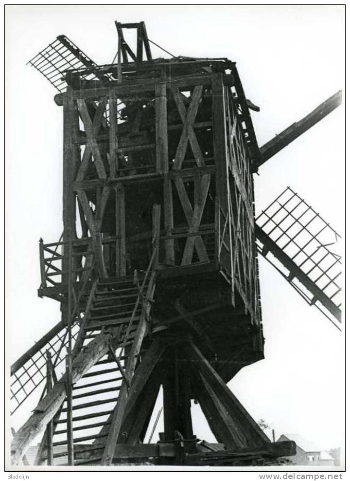 SCHRIEK Bij Heist-op-den-Berg (Antwerpen) - Molen/moulin - Echte Foto Van Molen 'Grote Bels' In Verval (close-up) - Lieux