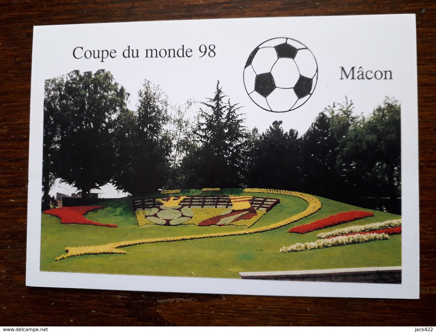 Macon.La Coupe Du Monde De Foot à Macon.Décoration Florale Réalisée En Gare De Macon.Tirage Limité à150 Ex.Ex N 14 - Macon