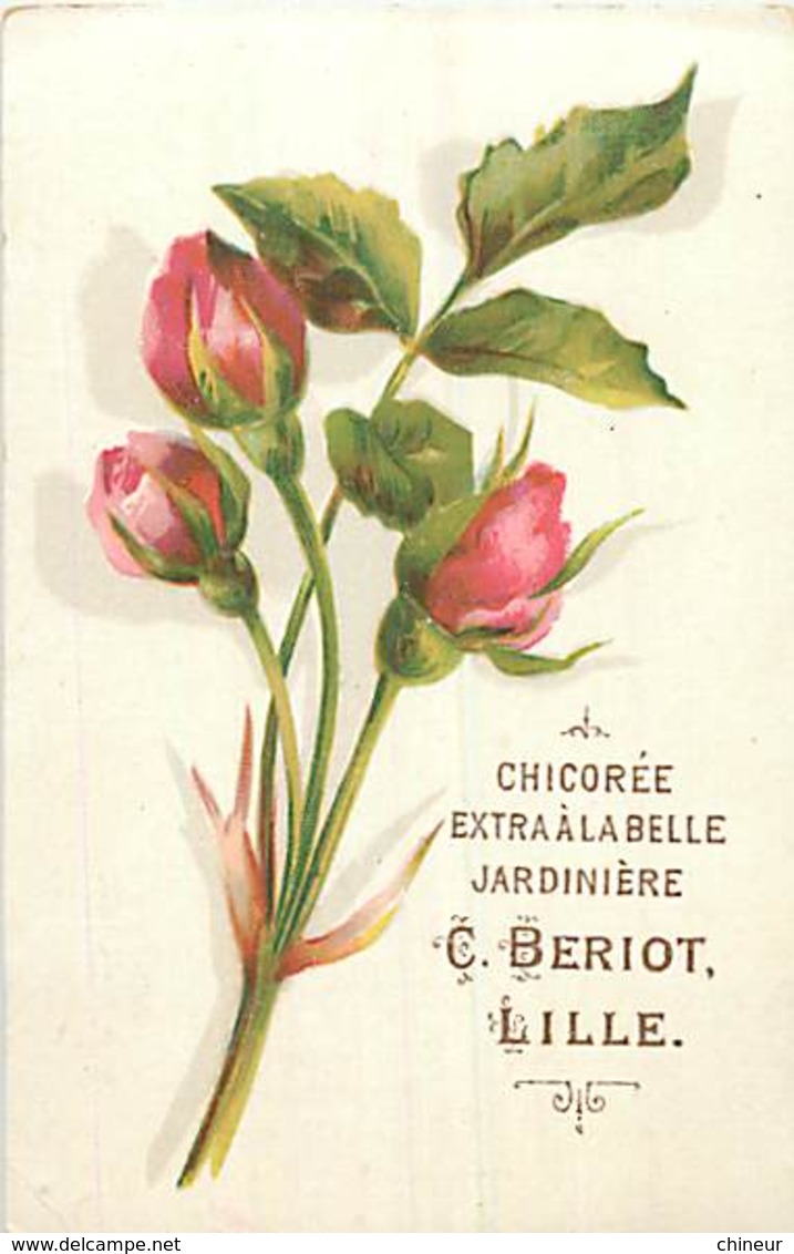 CHROMO CHICOREE  A LA BELLE JARDINIERE C.BERIOT LILLE ROSES - Tè & Caffè