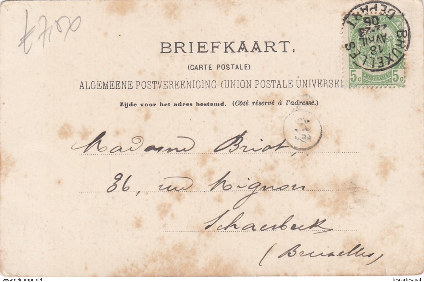 SHEPHEARD  FEMME ET ENFANTS COSTUMED PAYS BAS "MARKEN" -1906 Utig.Jos. NUSS Amsterdam(lot Pat 42) - Shepheard