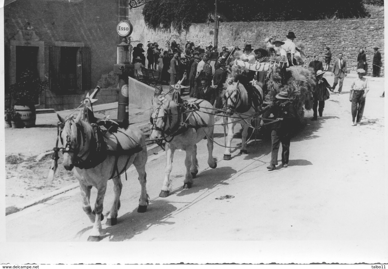 11 - Pennautier - Fete De La Moisson 1942 - Attelage De 3 Cheveau Blancs - Pompe Esso - Photo Rougé Carcassonne - Lieux