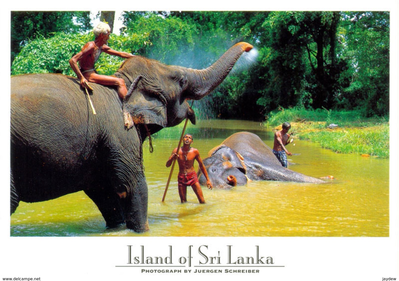 Sri Lanka Postcards, Shower Time For Jumbo, Elephants, People, Postcrossing - Sri Lanka (Ceylon)