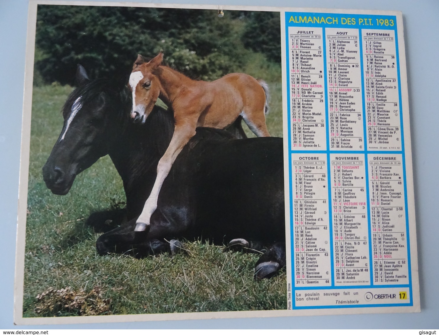 Almanach Ptt De 1983 Recto Cheval , Saut  D'une Barriere  Verso   Chevaux - Big : 1981-90