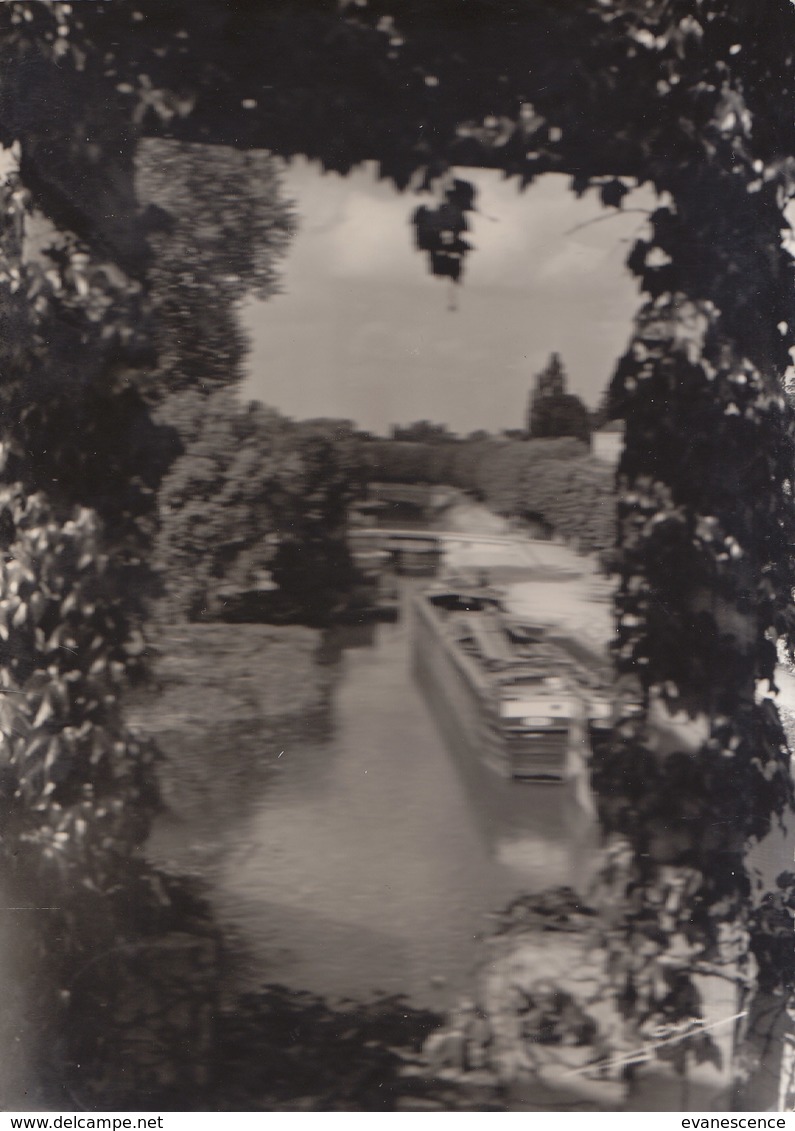 °°°  45  MONTARGIS  / CANAL DE BRIARE  ECLUSE DE LA REINETTE  °°°  REF JANV.19 ////  N° 7780 - Montargis