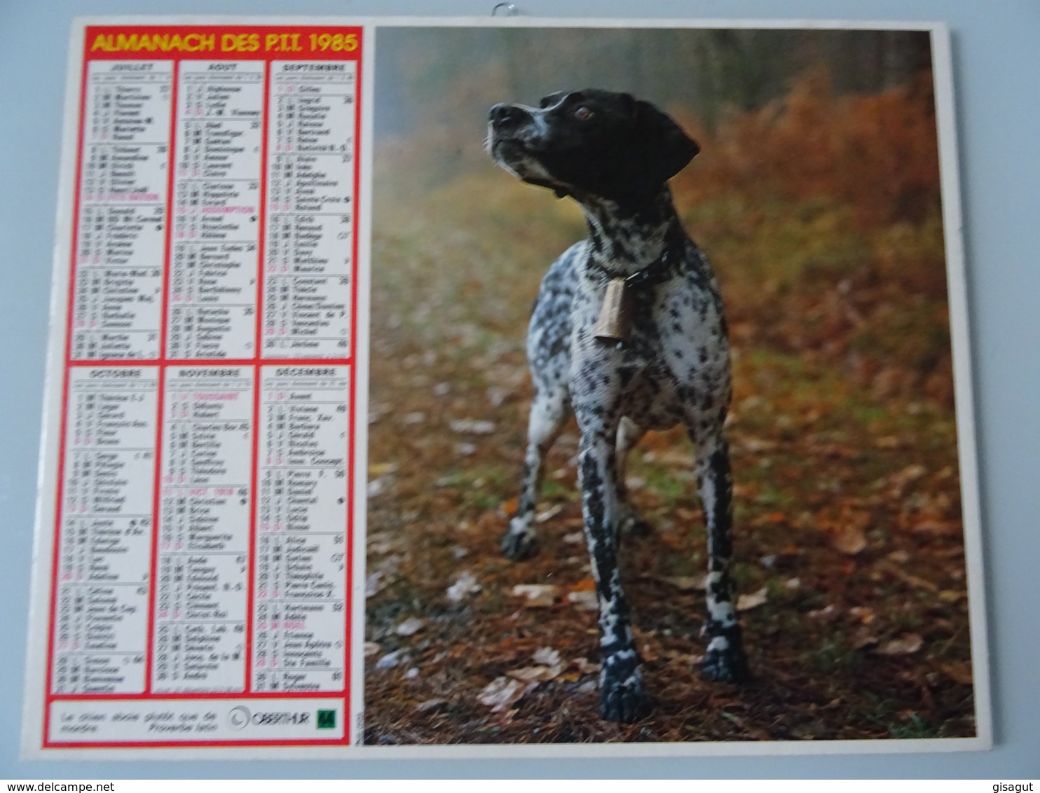 Almanach Ptt De 1985  Recto   Daim  Verso   Chien - Grossformat : 1981-90