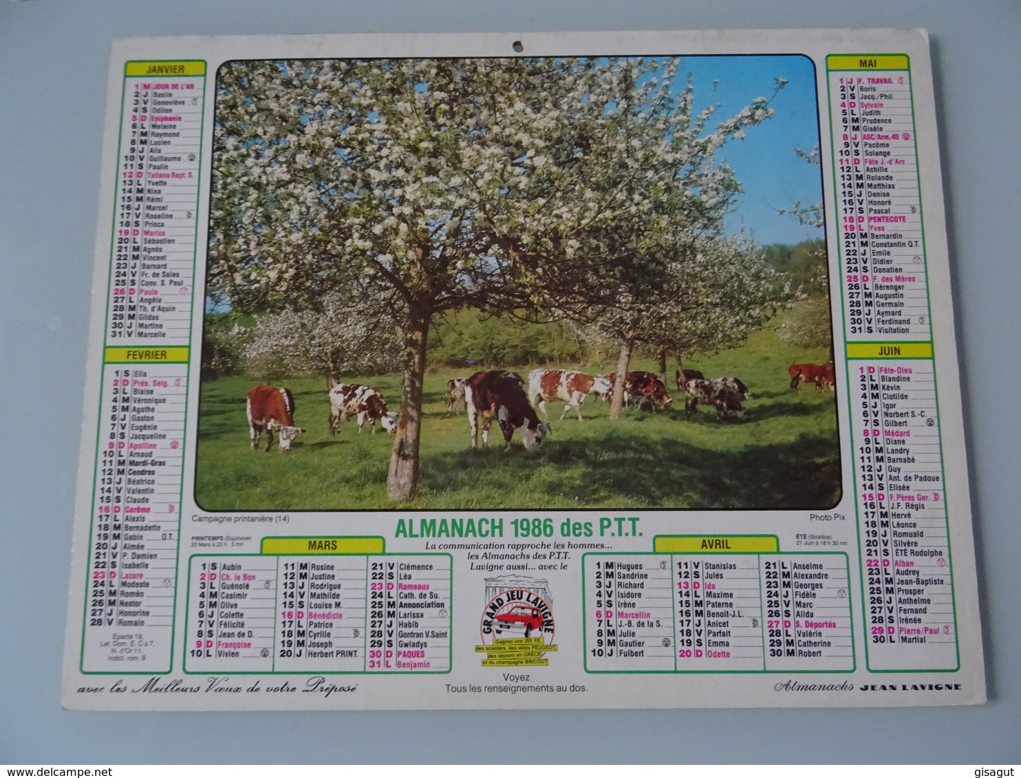 Almanach Ptt De 1986  Recto   Campagne Printaniere  Verso   Chevaux - Big : 1981-90
