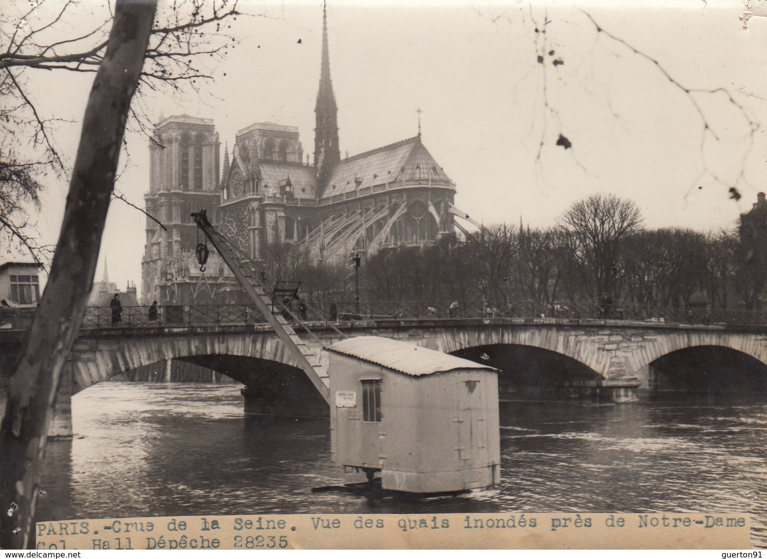 PHOTO ORIGINALE ( 13x18)  PARIS La Crue De La Seine Une Vue Des Quais Inondés Pres Notre Dame - Lieux