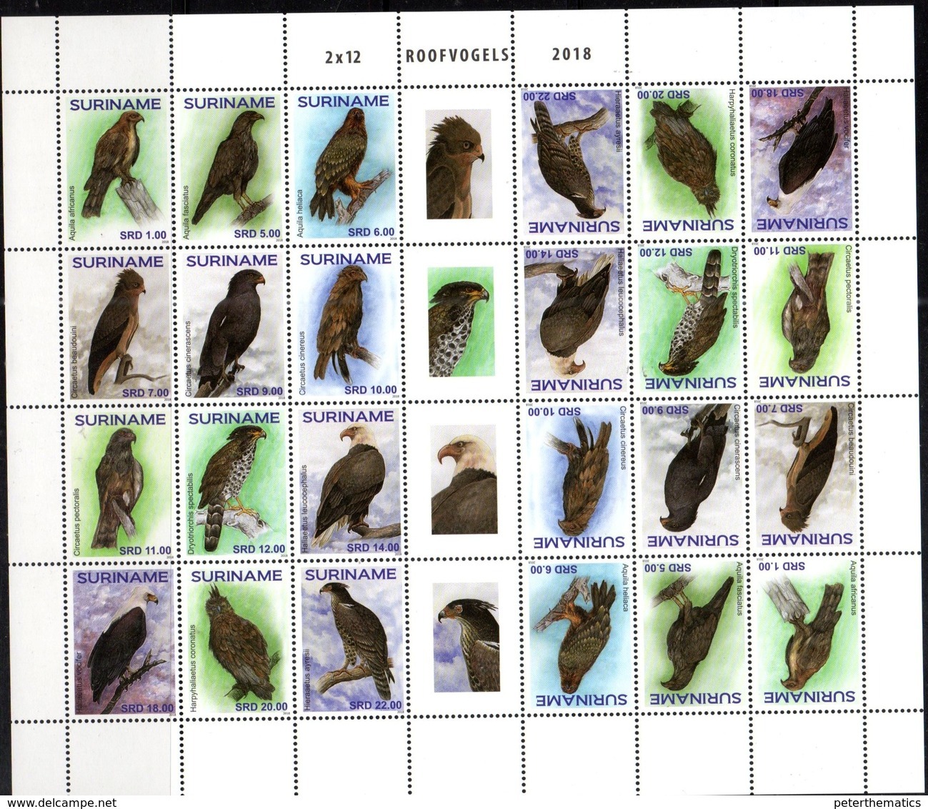 SURINAME, 2018, MNH, BIRDS, BIRDS OF PREY,  EAGLES, SHEETLET OF 2 SETS , HIGH FV - Eagles & Birds Of Prey