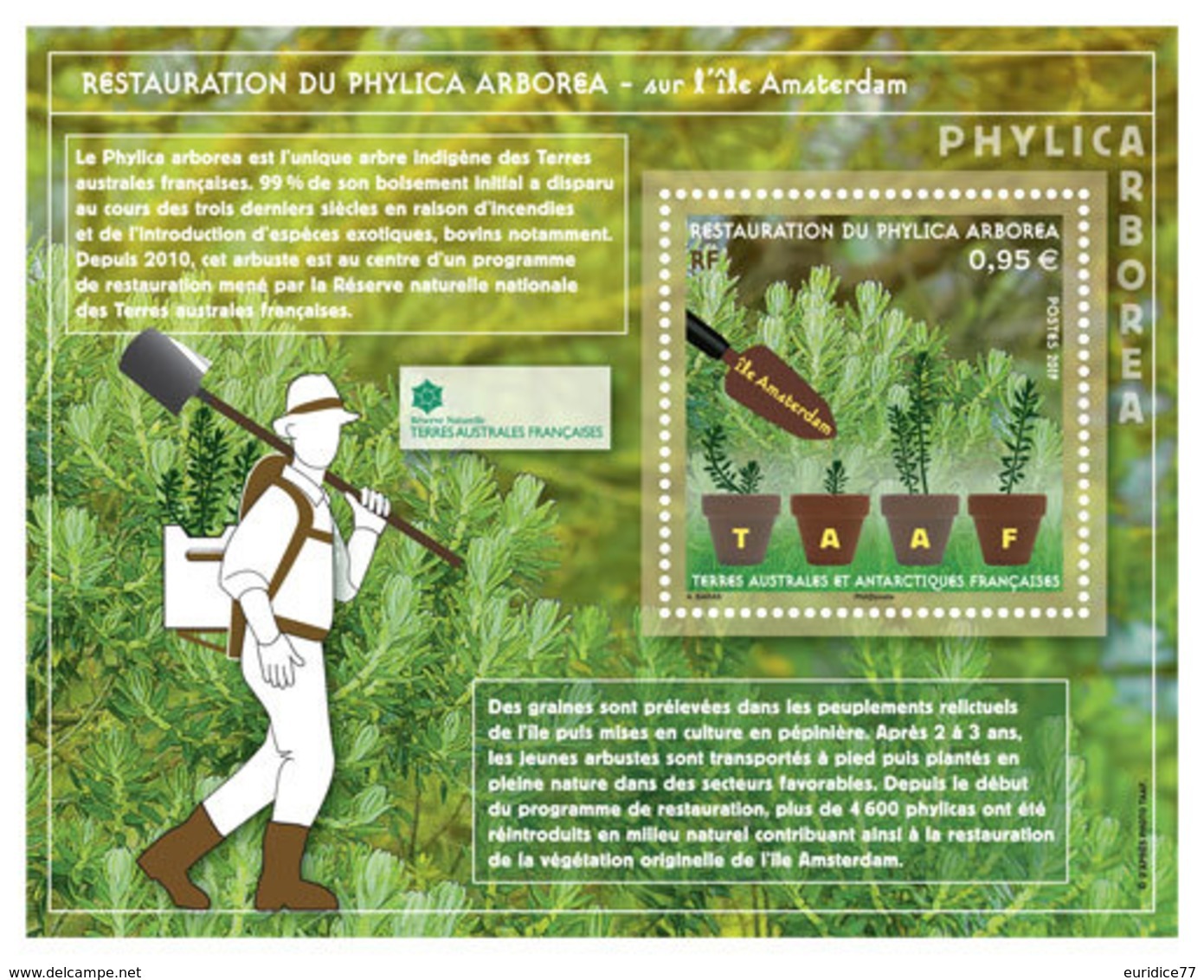 TAAF 2019 - Restauration Du Phylica Arborea Sur L'île Amsterdam Mnh - Ungebraucht