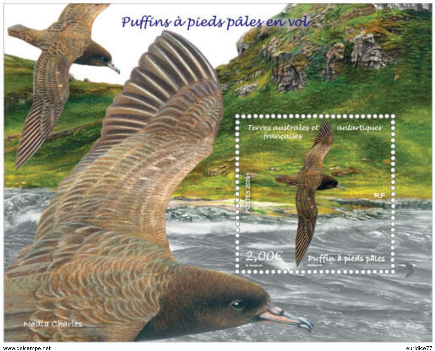 TAAF 2019 - Puffins à Pieds Pâles En Vol Sheet Mnh - Nuevos