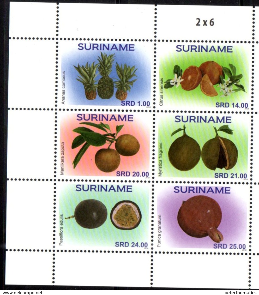 SURINAME, 2018, MNH, FRUIT, PINEAPPLES, PASSION FRUIT, 6v - Fruits