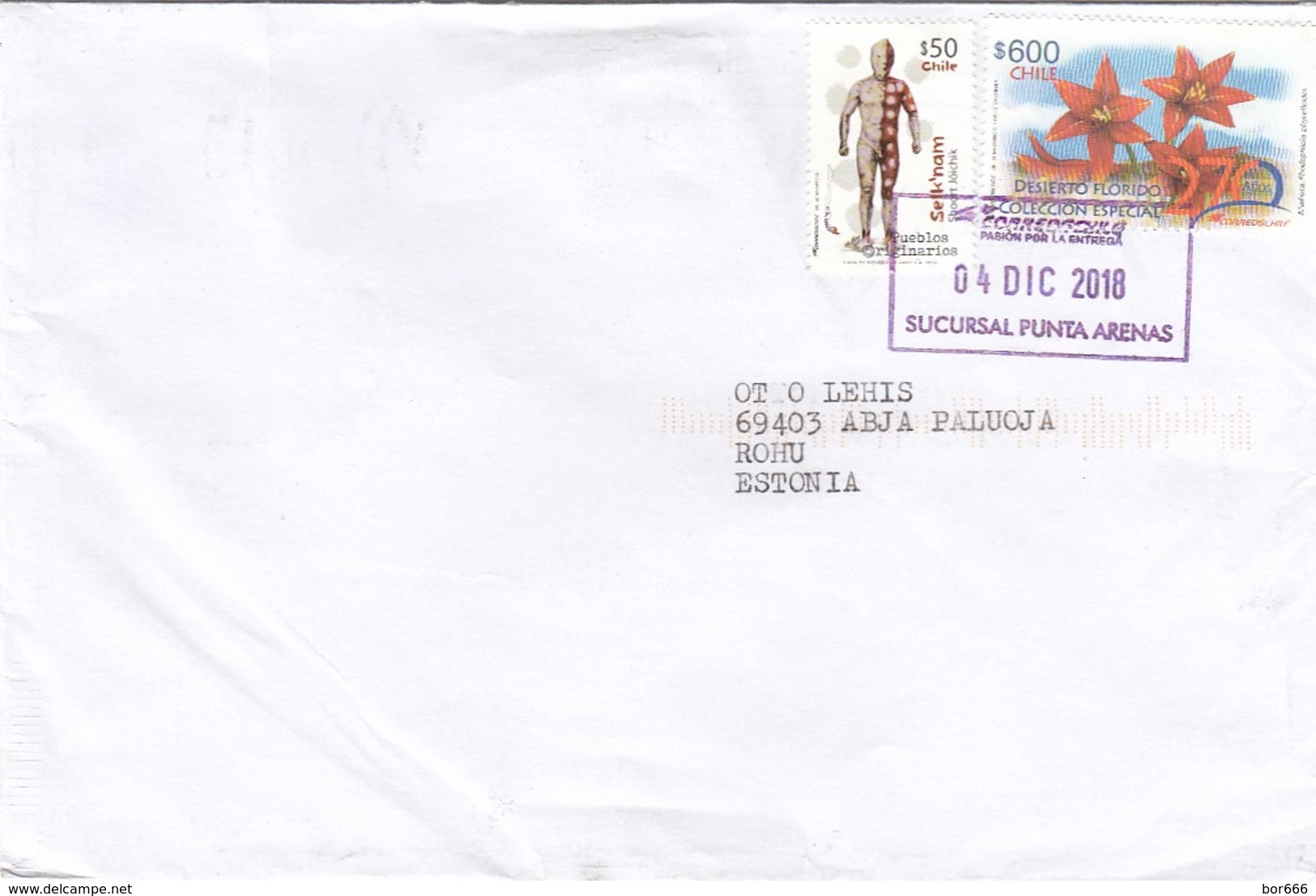 GOOD CHILE Postal Cover To ESTONIA 2018 - Good Stamped: Selknam ; Flowers - Chile