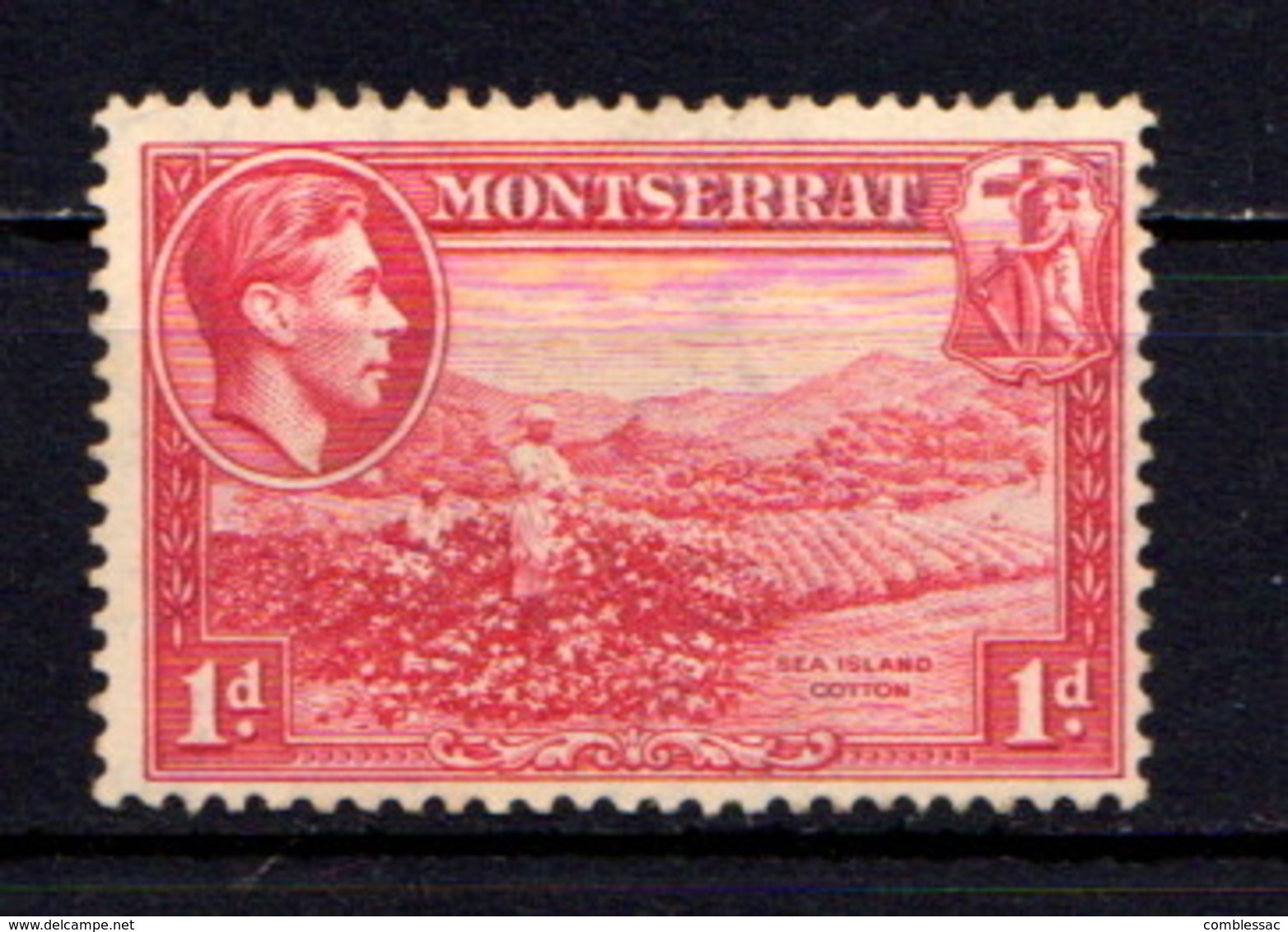 MONTSERRAT    1938    1d  Scarlet   Perf 13    MH - Montserrat