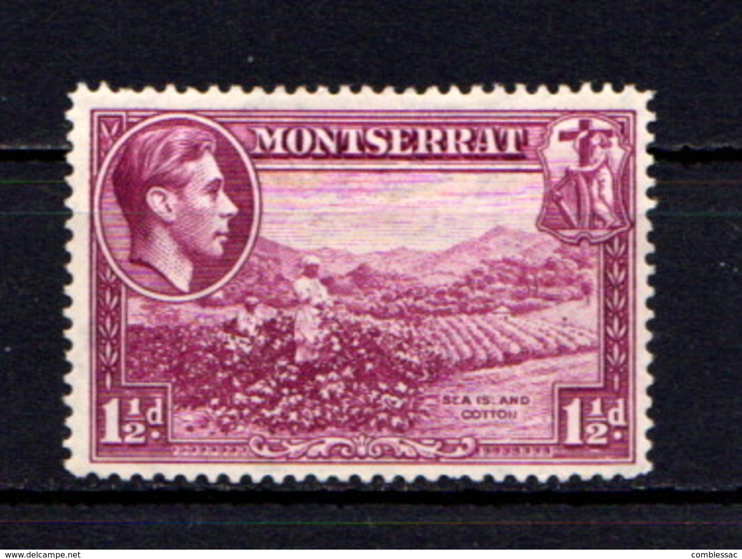 MONTSERRAT    1938    1 1/2d  Purple   Perf 14    MH - Montserrat