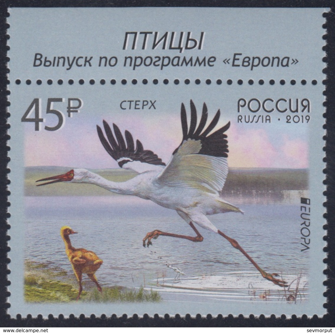 RUSSIA 2019 Stamp MNH ** VF EUROPA CEPT Sterkh Grus Leucogeran WHITE CRANE Siberia GRUE KRANICH BIRD VOGEL OISEAU 2436 - Unused Stamps