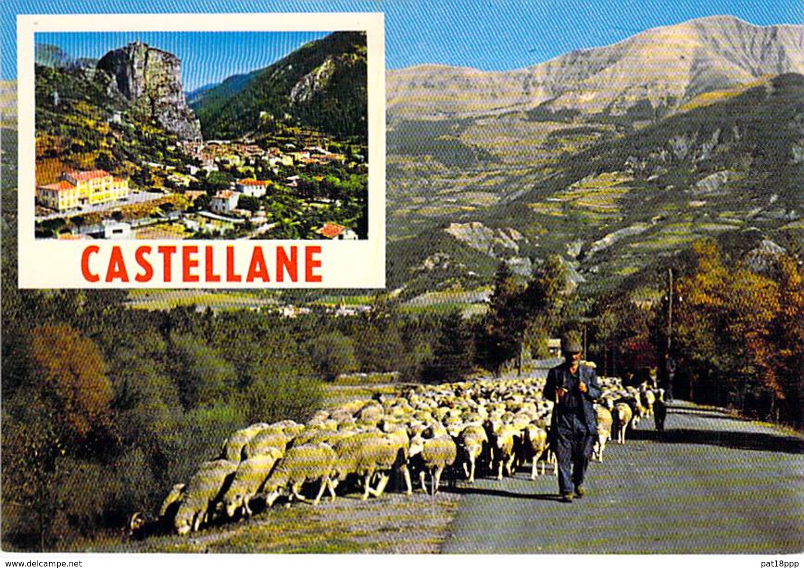 TROUPEAU DE MOUTONS - 04 CASTELLANE : Bon Plan - CPM GF Flock Of Sheep -Schafherde - Kudde Schapen - Gregge Di Pecore - - Castellane