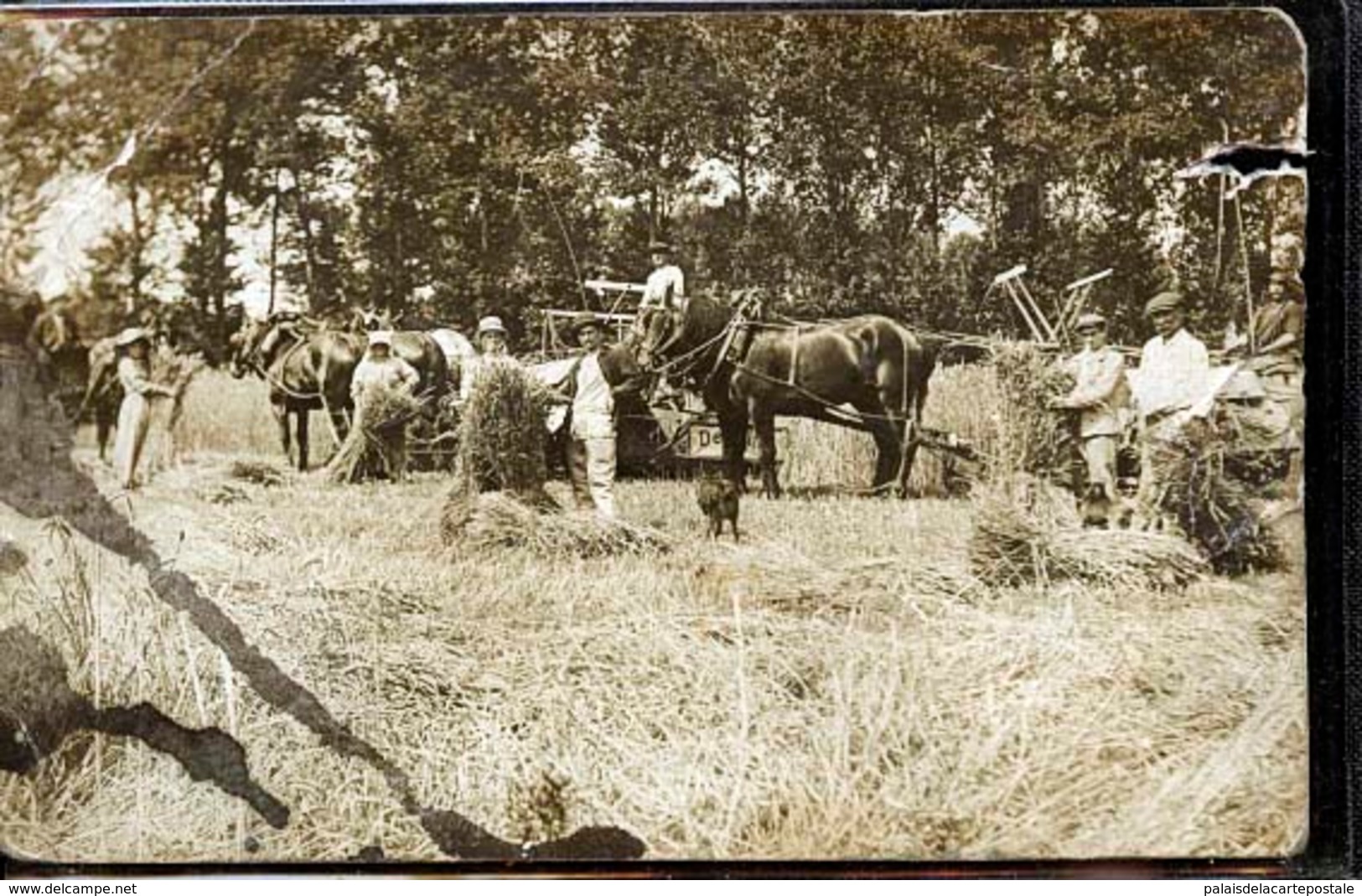 COURTISOLS LA MOISSON PHOTO CARTE       JLM - Courtisols