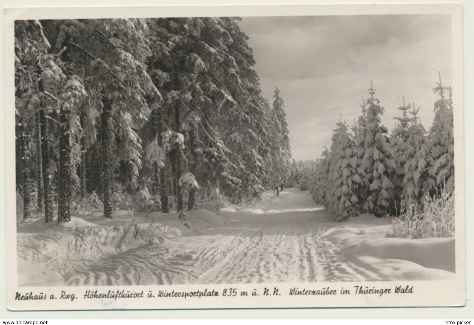 AK  Neuhaus Am Rennweg Winter Wald - Neuhaus