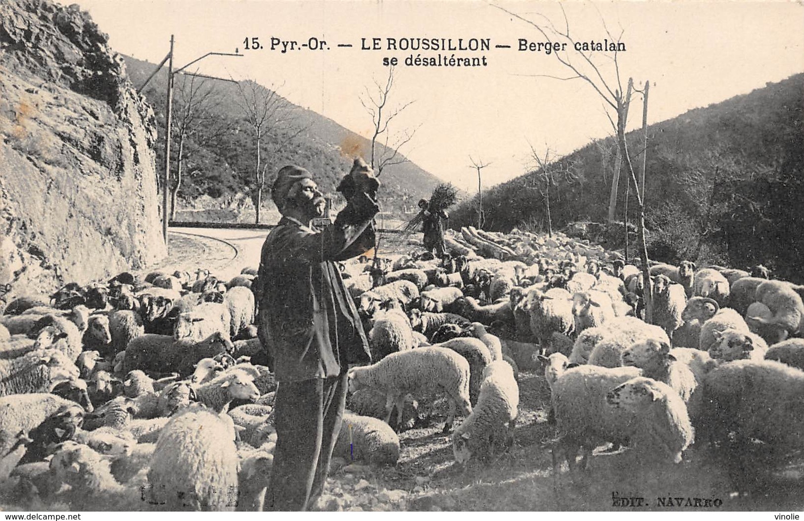 A-19-1432 :  BERGER CATALAN SE DESALTERANT. MOUTONS. - Other & Unclassified