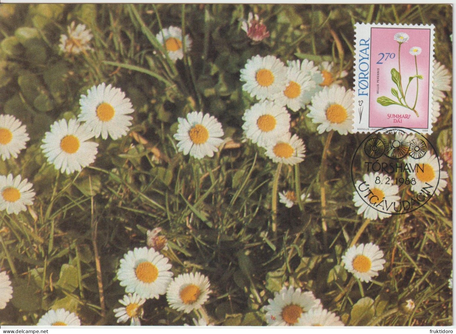 Faroe Islands Maximum Cards Mi 162-164 Plants Bellis Perennis - Heath Spotted-orchid (Dactylorhiza Maculata) - Potentill - Faeroër