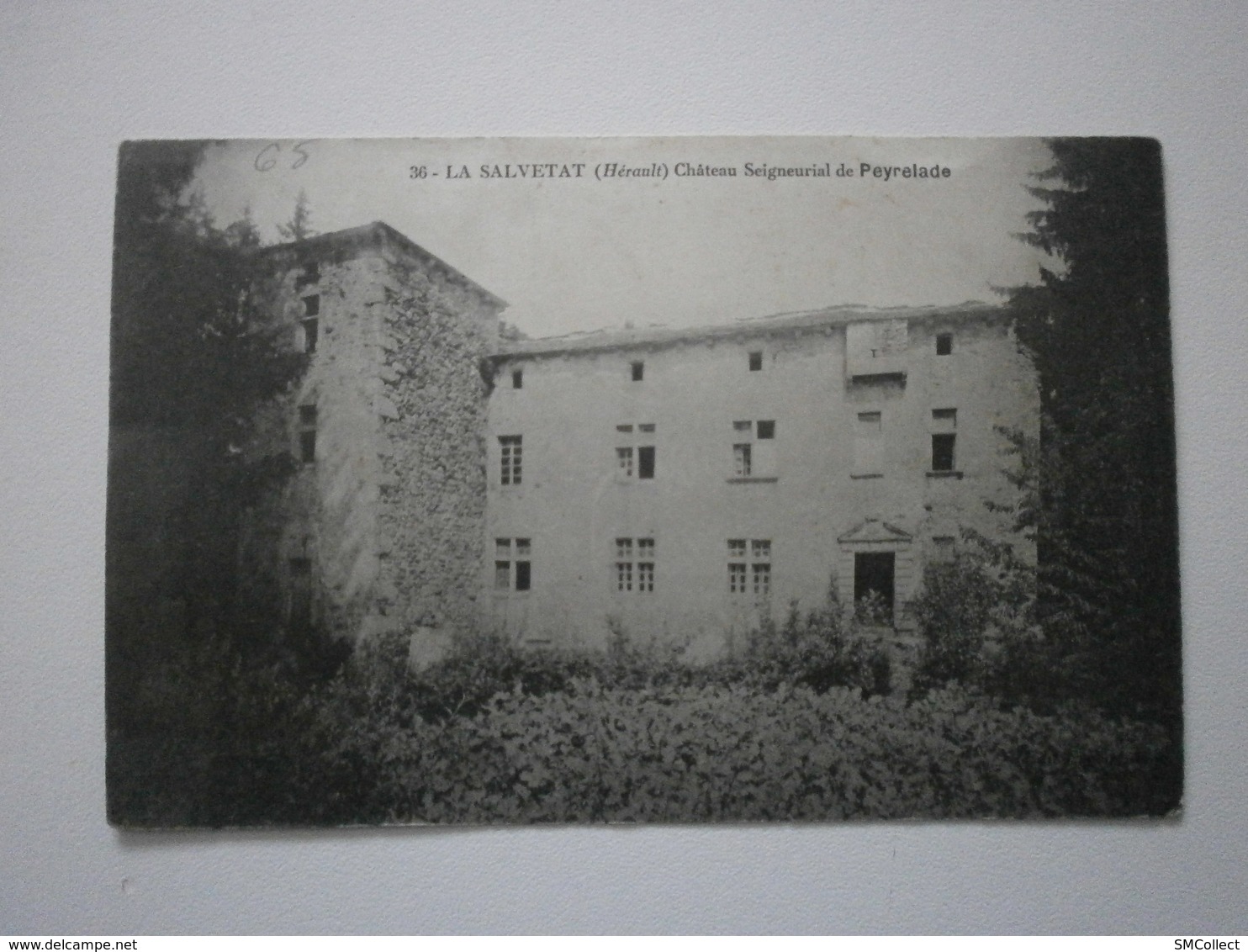 34 La Salvetat, Chateau Seigneurial De Peyrelade (7834) - La Salvetat