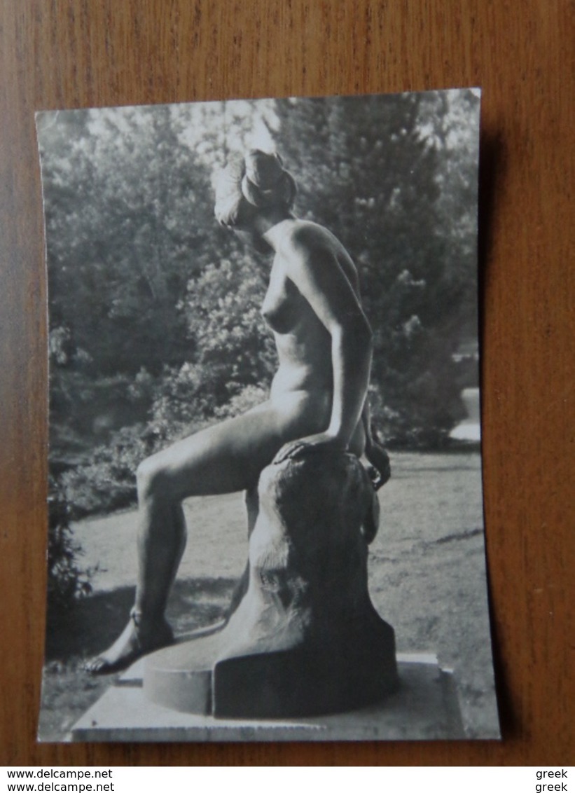 38 kaarten met NAAKT - NUDE - NAKED (Kunst) zie foto's