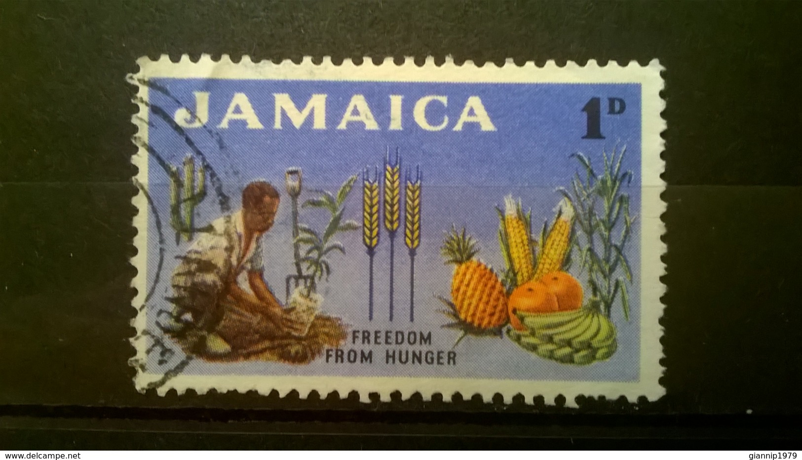 FRANCOBOLLI STAMPS GIAMAICA JAMAICA 1963 USED FREEDOM FROM HUNGER - Jamaica (1962-...)