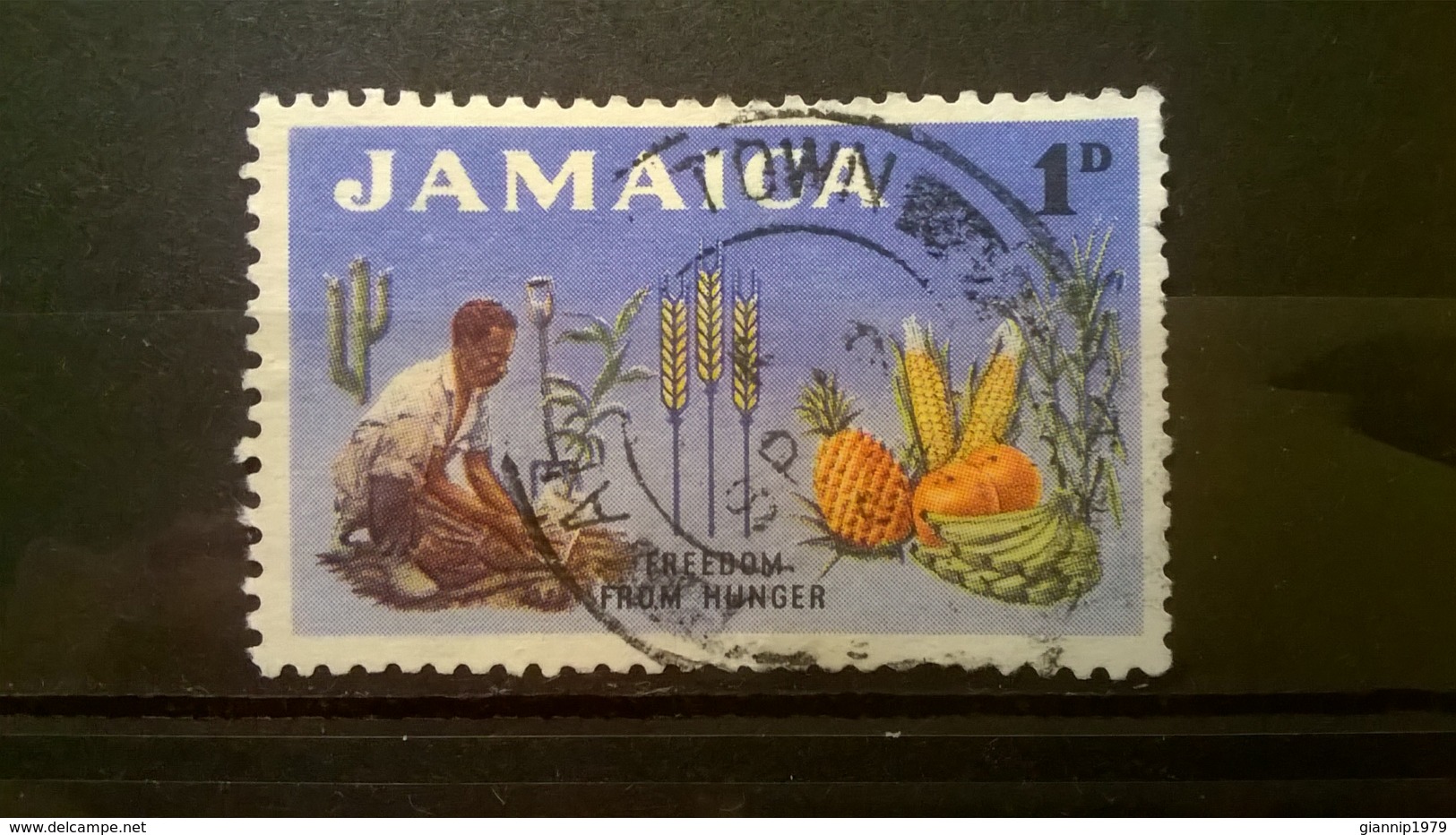 FRANCOBOLLI STAMPS GIAMAICA JAMAICA 1963 USED FREEDOM FROM HUNGER - Giamaica (1962-...)