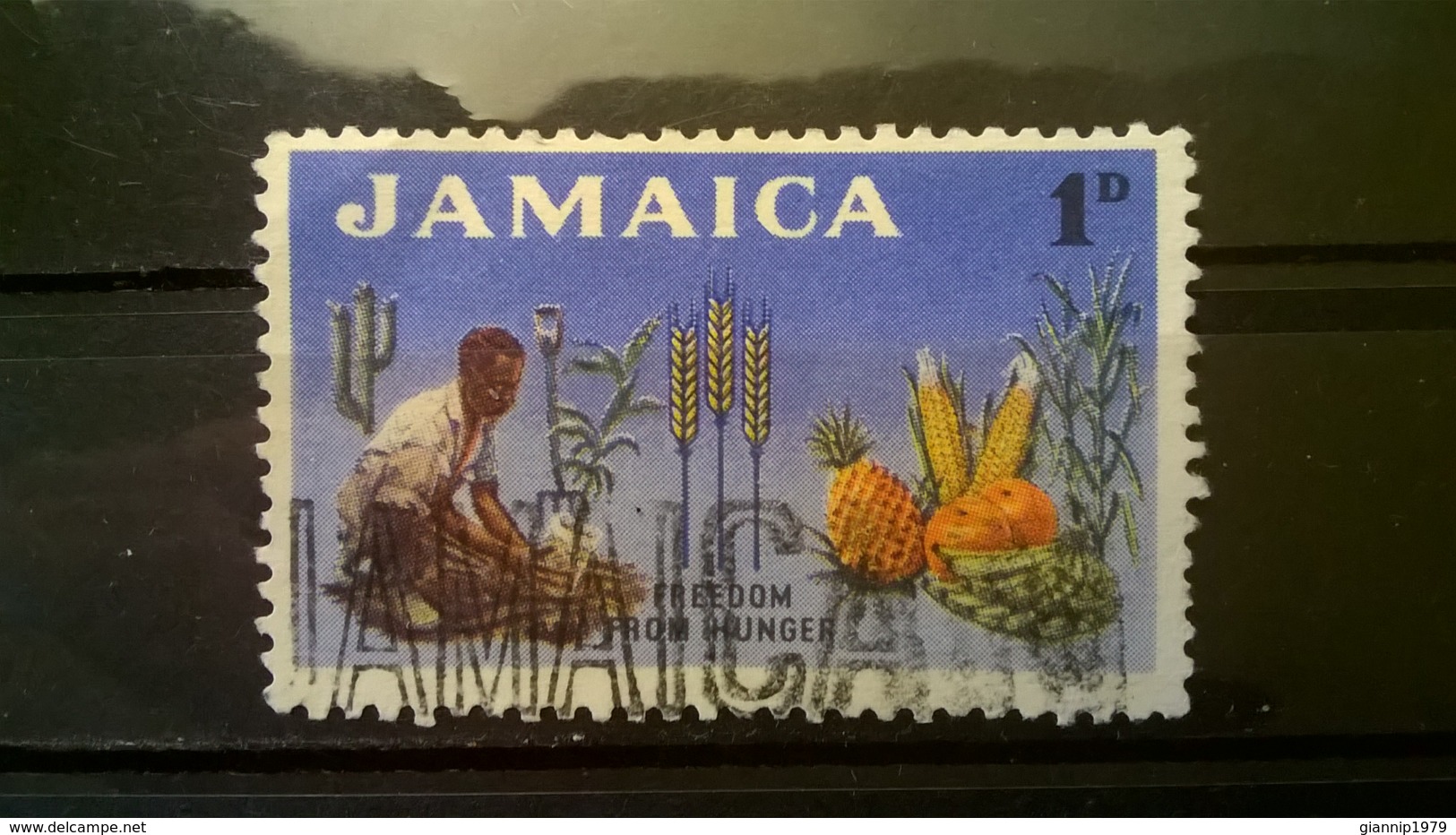 FRANCOBOLLI STAMPS GIAMAICA JAMAICA 1963 USED FREEDOM FROM HUNGER - Giamaica (1962-...)