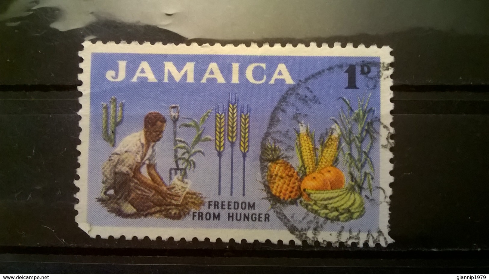 FRANCOBOLLI STAMPS GIAMAICA JAMAICA 1963 USED FREEDOM FROM HUNGER - Giamaica (1962-...)