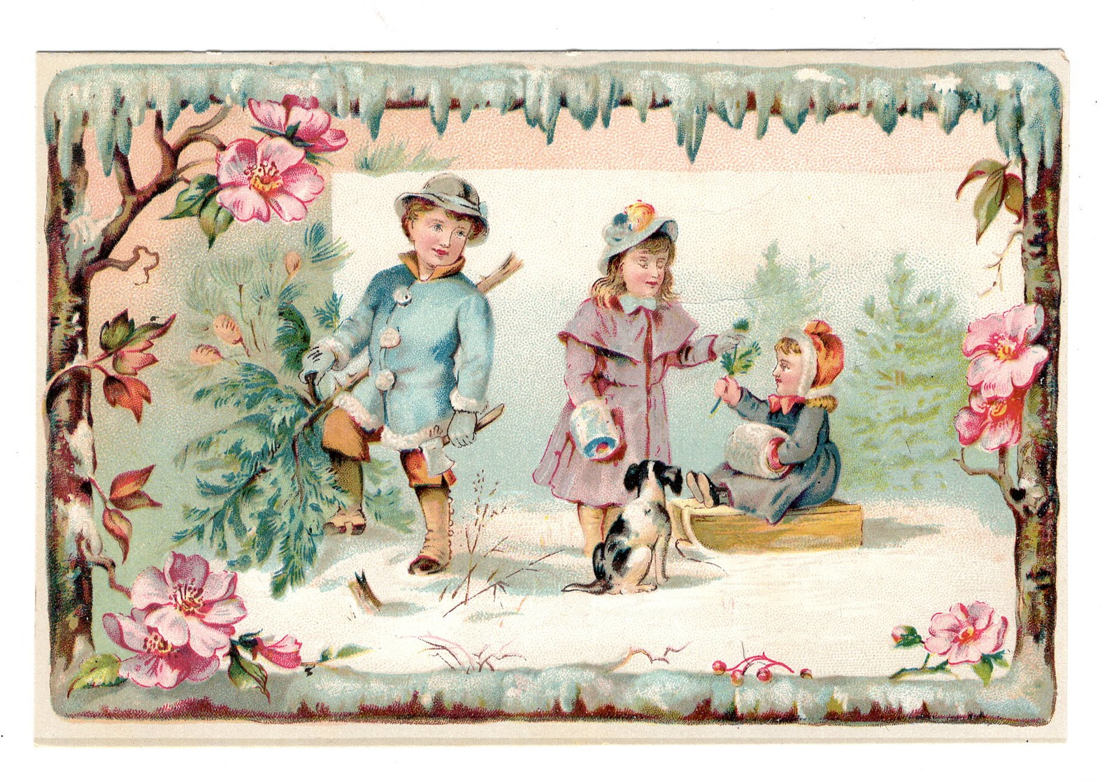 Enfants  Neige Luge  Chien Hache  , Superbe Chromo ( Carton )   10x14cm   Dos Neutre. - Autres & Non Classés