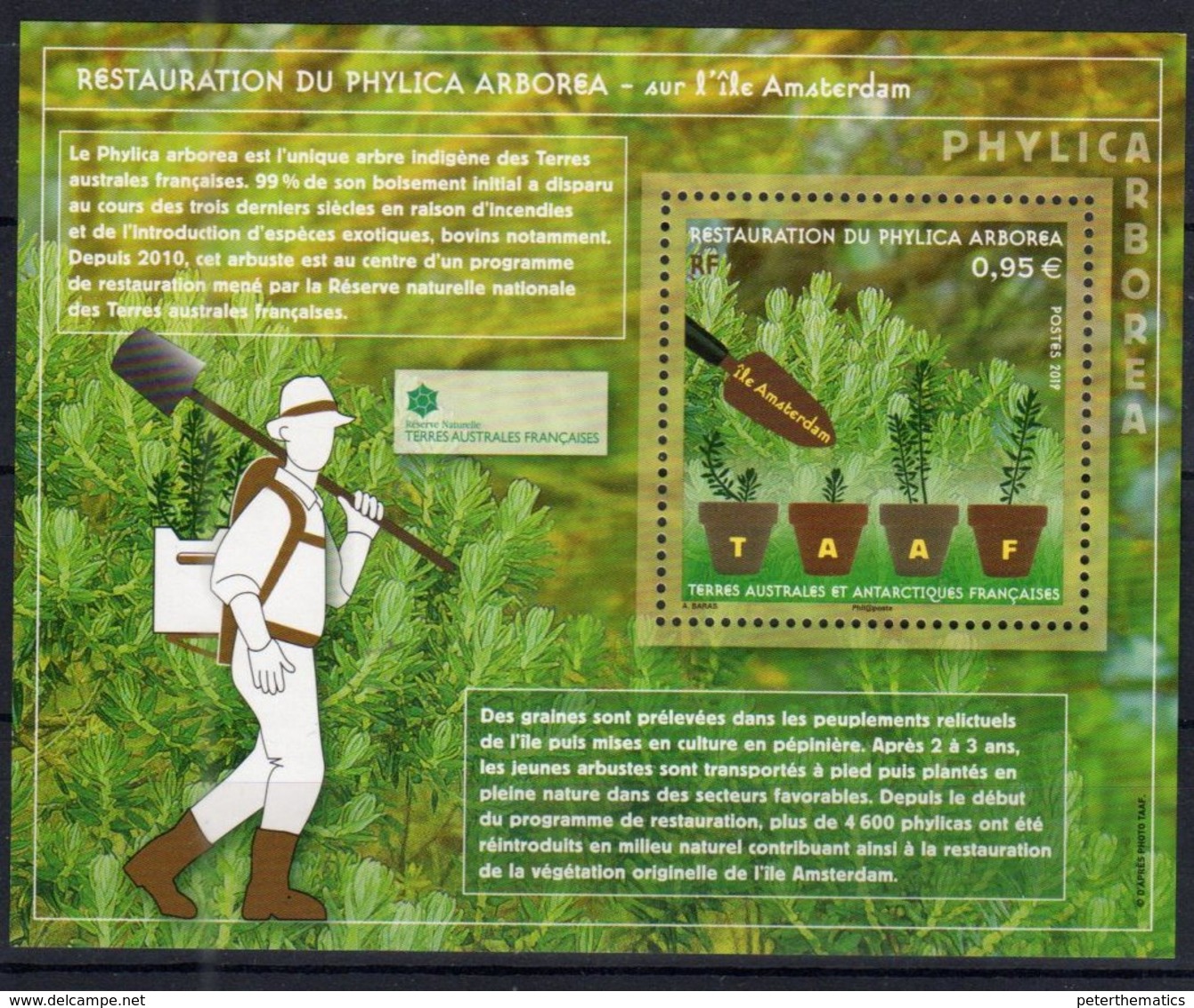 TAAF ,  FRENCH ANTARCTIC, 2019, MNH,TREES, RESTORATION OF PHYLICA ARBOREA, S/SHEET - Trees