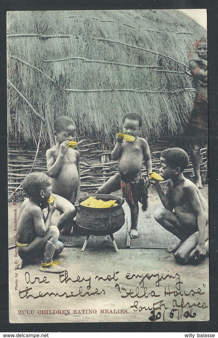 +++ CPA - Afrique - ZULU Children Eating Mealies   // - Afrique Du Sud