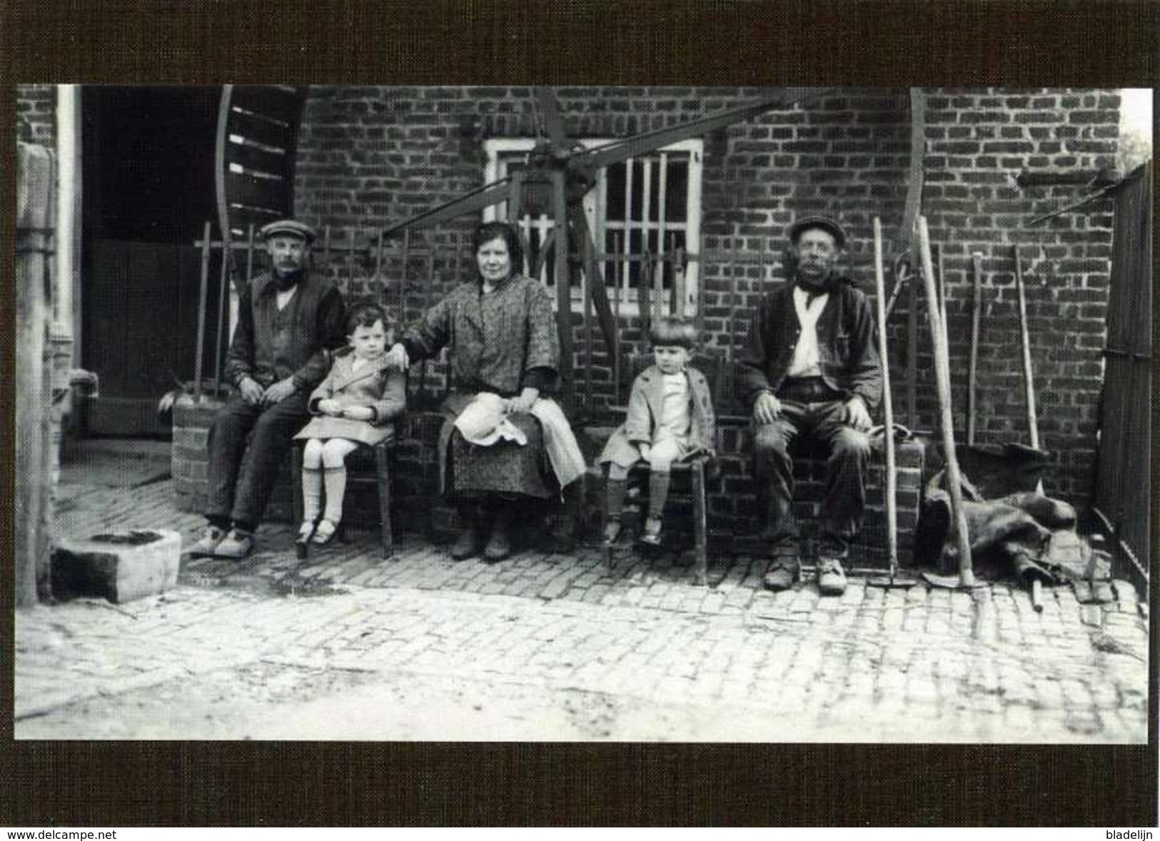 POPERINGE (W.-Vl.) - Molen/moulin - De Verdwenen Hondenmolen Van Bailleu. Zeldzame Opname Voor 1936. - Poperinge