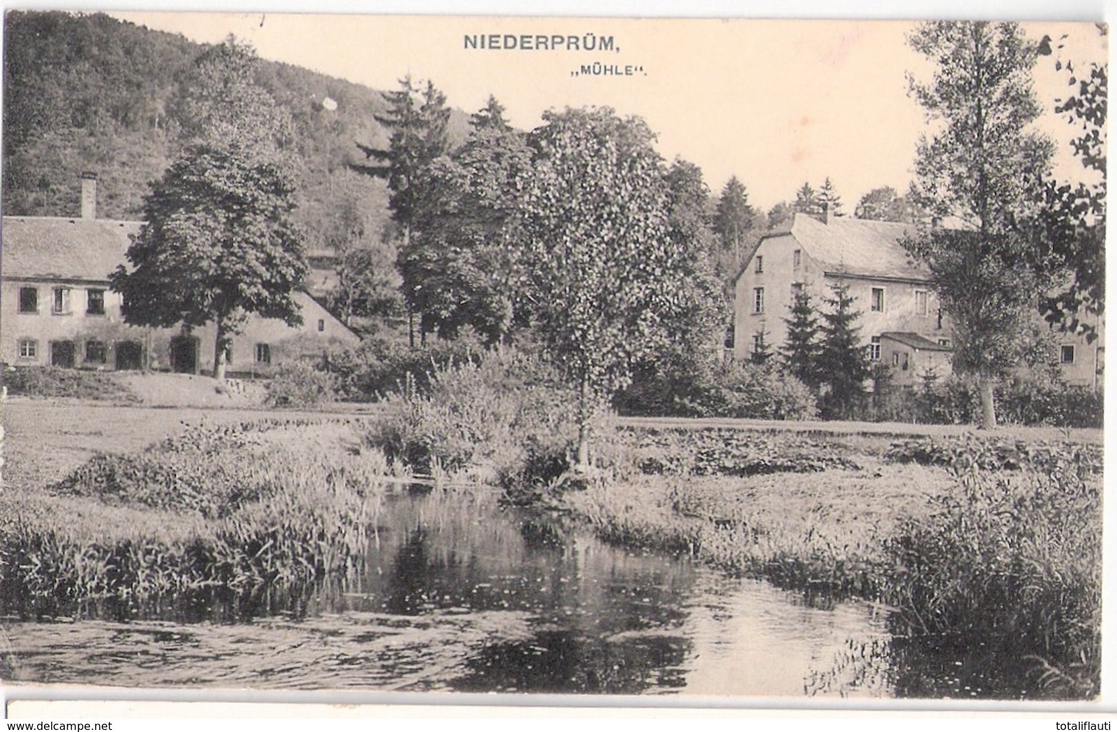 NIEDER PRÜM Wasser Mühle 11.1.1914 Gelaufen - Pruem