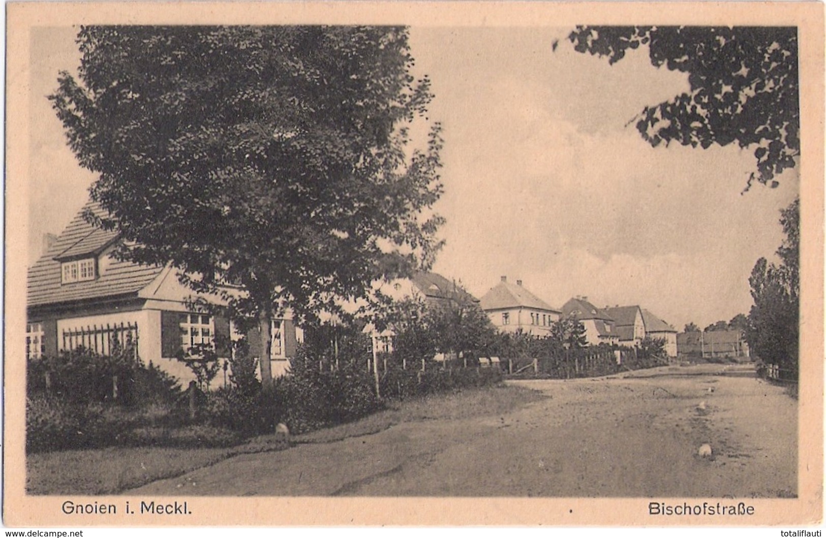 GNOIEN Mecklenburg Bischofstrasse 6.2.1938 Gelaufen Fast TOP-Erhltung - Teterow