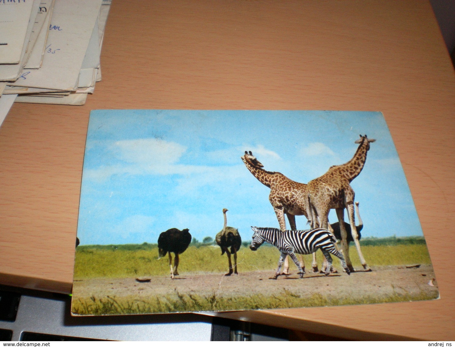 Giraffe  Kenya Air Mail - Girafes