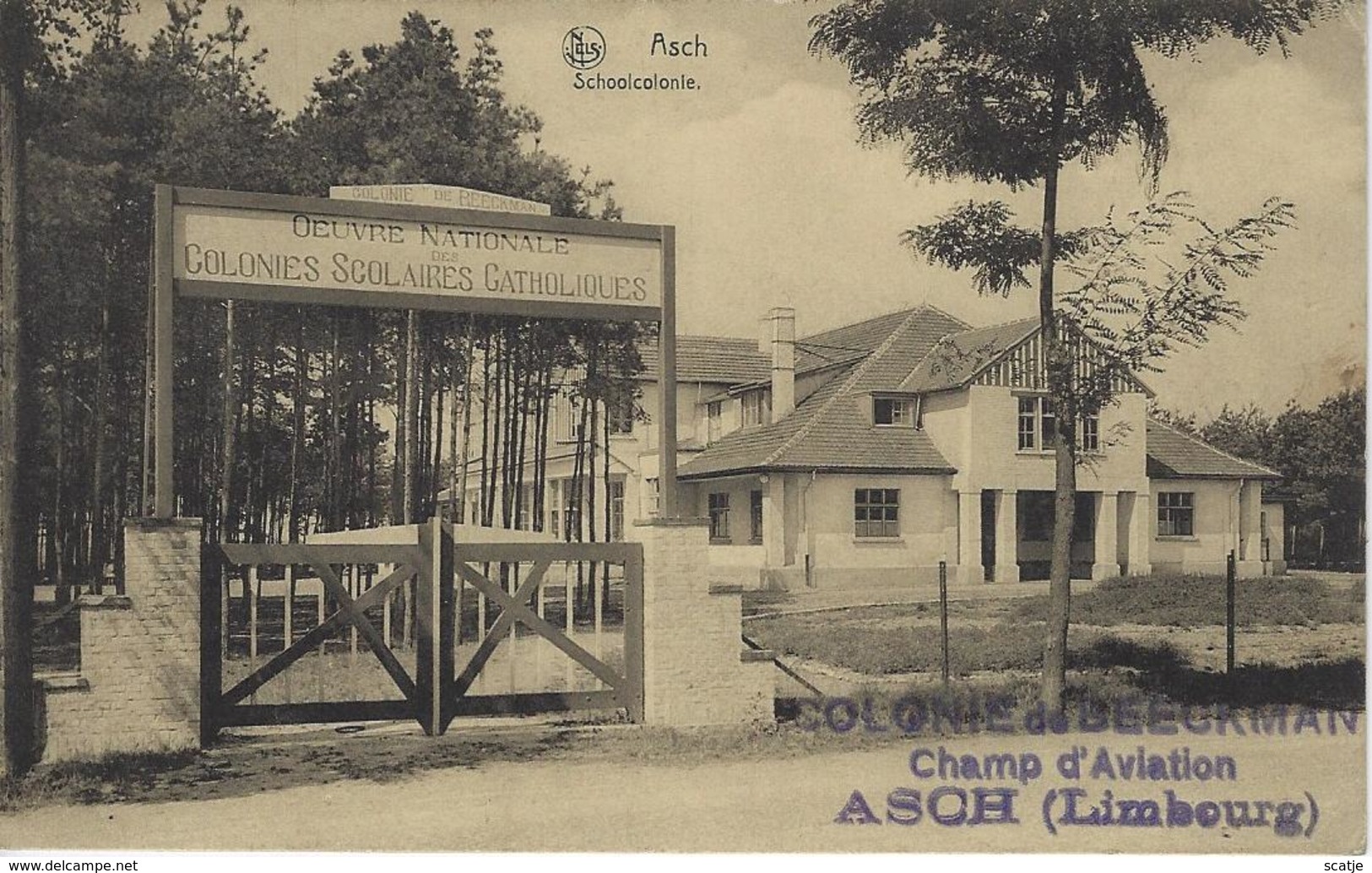 Asch   -   Schoolcolonie   -   1931 - As