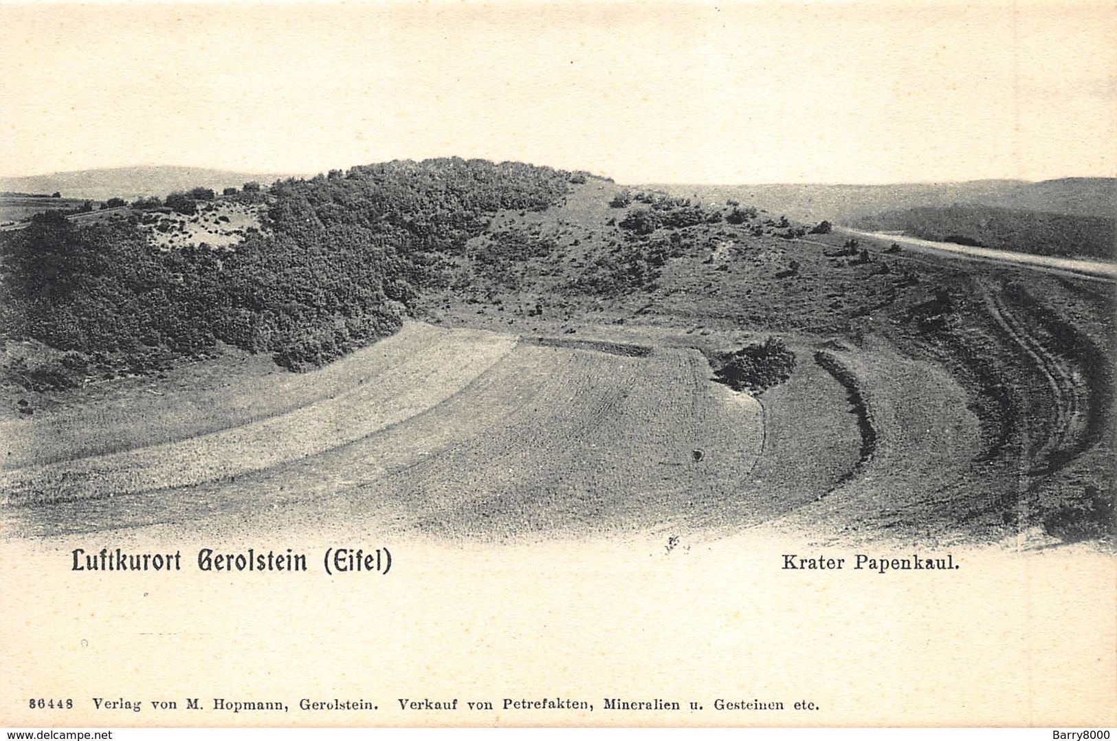 Allemagne  Germany       Luftkurort Gerolstein. (Eifel) Krater Papenkaul    X 5757 - Gerolstein